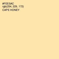 #FEE5AC - Cape Honey Color Image